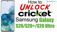 Image result for S20 Cricket