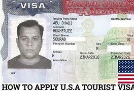 Image result for Us Tourist Visa