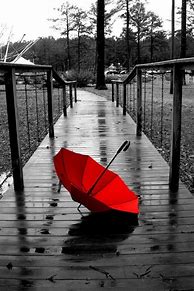 Image result for Black and White with Color Splash