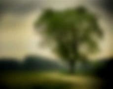 Image result for Screen Corner Blur