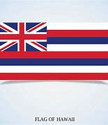 Image result for Hawaiian Flag Drawing