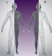 Image result for 3D Human Blueprint