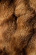 Image result for Brown Fur Texture Seamless