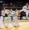 Image result for Taekwondo