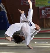 Image result for Jujitsu Torite