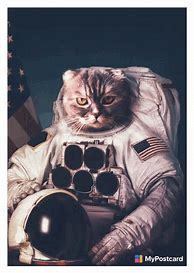 Image result for Space Cat iPhone 5 Case