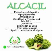 Image result for alcacil