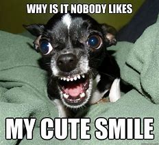 Image result for Make Someone Smile Every Day Meme