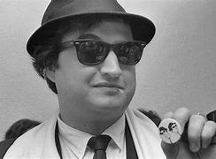 Image result for Belushi Bee