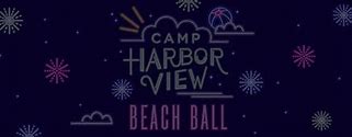 Image result for Beach Ball 48