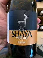 Image result for Shaya Rueda Old Vines