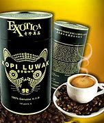 Image result for Most Expensive Cat Poop Coffee