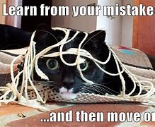 Image result for Learn From Your Mistakes Meme