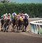 Image result for Horse Racing Background Themes