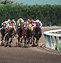 Image result for Free Thoroughbred Racing Horse Wallpaper