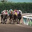 Image result for Racing Horse Wallpaper HD