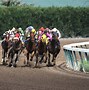 Image result for Horse Race Track Background