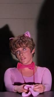 Image result for Bewitched Catwoman