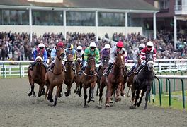 Image result for Lingfield Racecourse