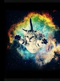 Image result for Galaxy Kitten Wallpaper