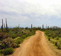 Image result for Sonoran Desert Arizona