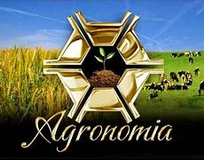Image result for ageonom�a