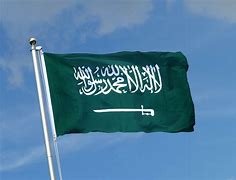 Image result for Saudi Arabia Flag