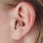 Image result for Outer Ear Hearing Aids