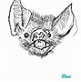 Image result for Black and White Bat Line Art