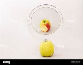 Image result for Half-Eaten Apple in Mirror