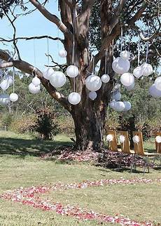 Outdoor Wedding Ceremony Tree Decorations Crucifixlaneproject Com