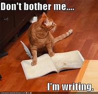 Image result for Cat Writing Meme 300X300 Picture