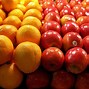 Image result for Difference Between Apple and Orange