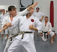 Image result for Judoshin Shotokan Karate