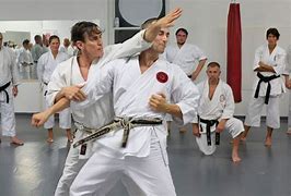 Image result for Shotokan Karate Techniques