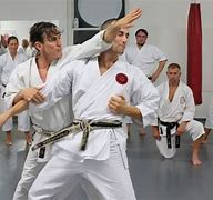 Image result for Martial Arts Shotokan
