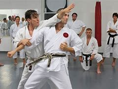 Image result for Shotokan Karate Gear