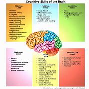 Image result for cognitive developmental psychological