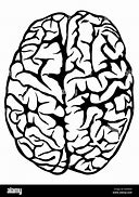 Image result for Brain Drawing Top View
