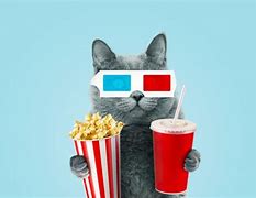 Image result for Cat Eating Popcorn Meme