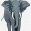 Image result for Cartoon Elephant Front View