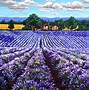 Image result for Nature Beauty Paintings