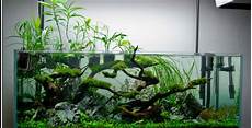 vasche aperte per acquari acquario aperto o chiuso l acquario di valerio rizzo vasche aperte per acquari acquario aperto o chiuso l acquario di valerio rizzo