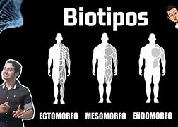 Image result for biotipol�gico
