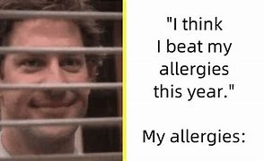 Image result for Seasonal Allergies Funny
