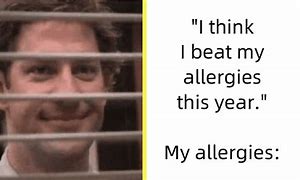 Image result for Seasonal Allergies Meme