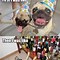 Image result for Best Party Ever Meme