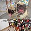 Image result for Too Much Party Cat Meme