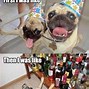 Image result for party cats memes templates
