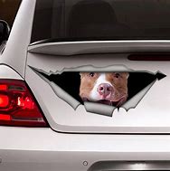 Image result for Pitbull Car Decal